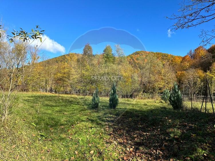 Teren de vanzare Cuiejdel 1350 mp - 11