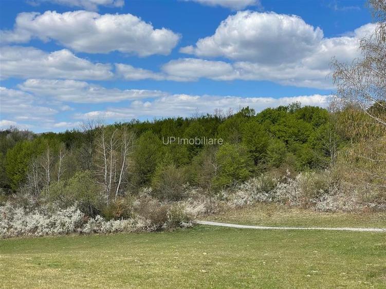 TEREN EXTRAVILAN | 103.000mp | BALANACA-GROSI | PASUNE | PASUNE IMPADURITA | BIH - 3
