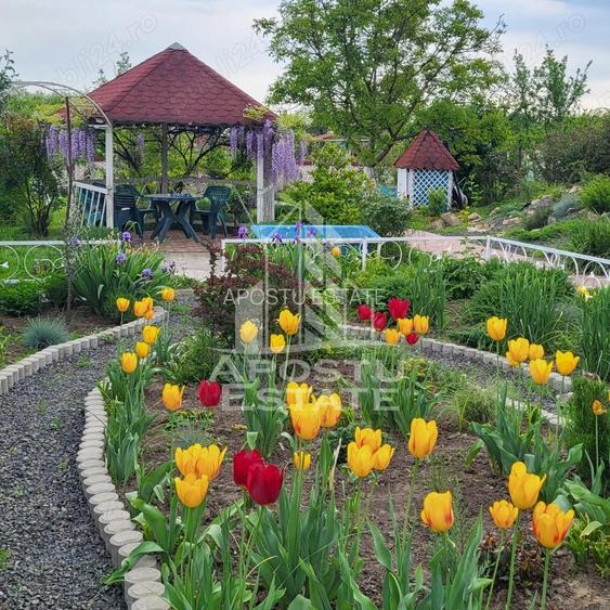 Casa spatioasa, teren generos, Giarmata - 19