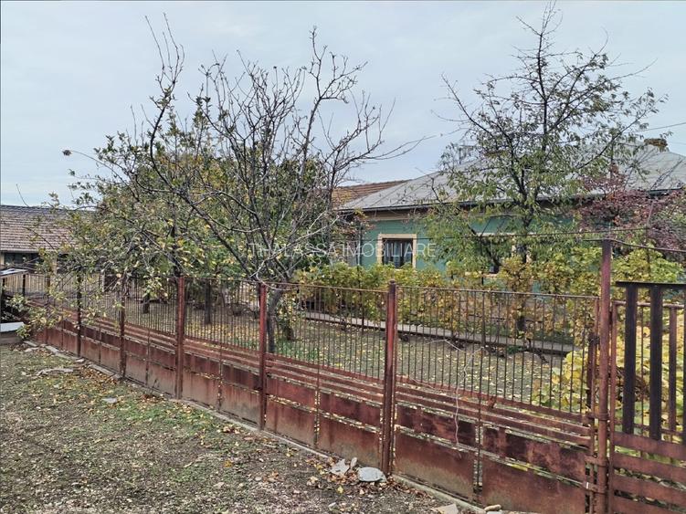 Casa cu teren -  central Segarcea - 17