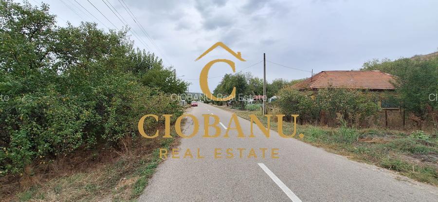 Teren Intravilan/Extravilan de vanzare in Bradestii Batrani - 7