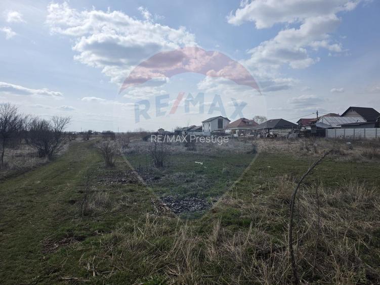 Loturi teren 500 /1000 mp Dumbraveni Balotesti utilitati - 2