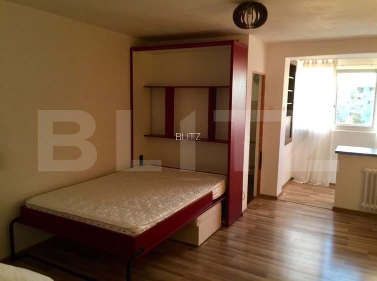 Garsonieră mobilată/utilată, 30.60 mp, zona Brazda lui Novac - 4