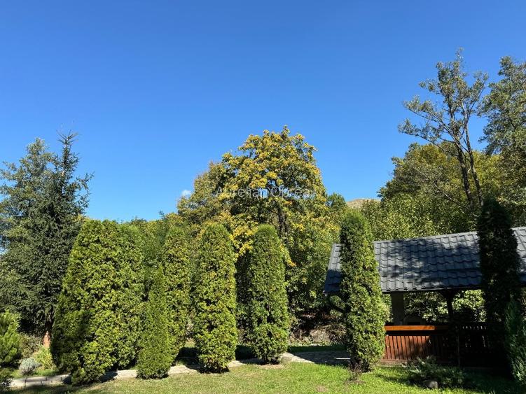 Casă de vacanță tip Chalet pe Valea Muresului  - 10