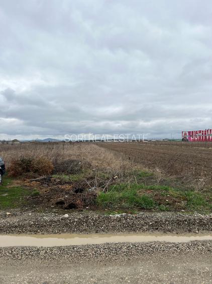 Teren intravilan, 6000 mp, Ghimbav - 4