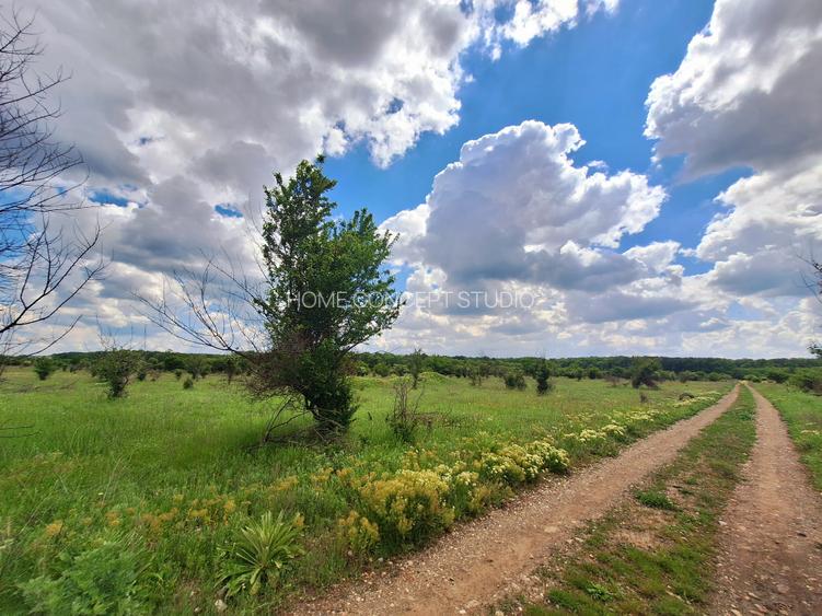 Teren JANDARMERIEI, Baneasa (sector 1) - 2