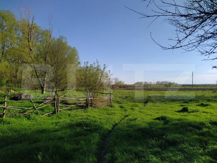 Teren EV si IV cu casa, 29.600 mp, utilitati si acces facil, Albesti - 15