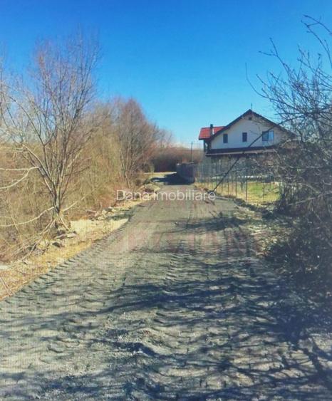 TEREN INTRAVILAN - STRADA AEROPORTULUI\ CARANSEBEȘ\JUD.CARAȘ-SEVERIN - 4