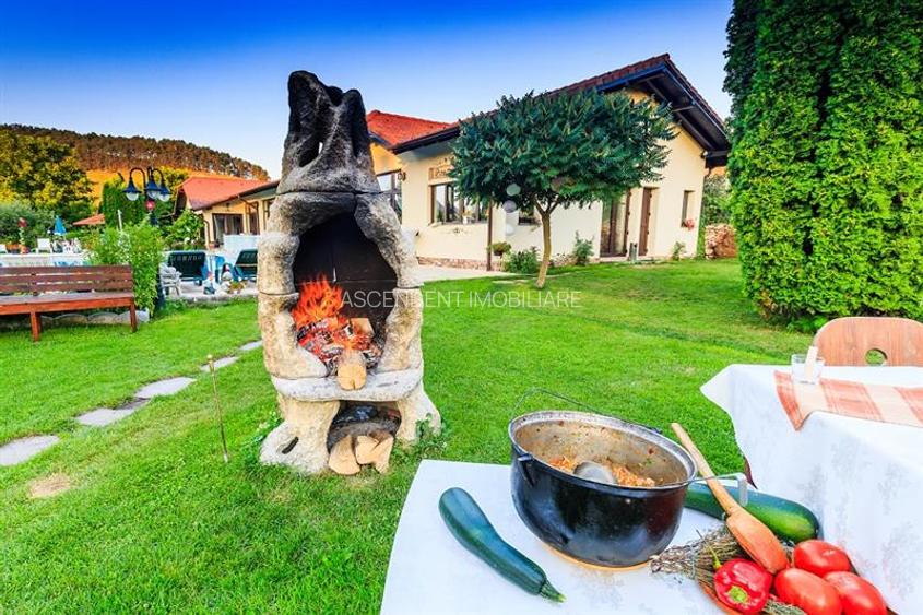 Hotel Bielmann,unicitate si profitabilitate optima in turism,Sanpetru, Brasov - 34