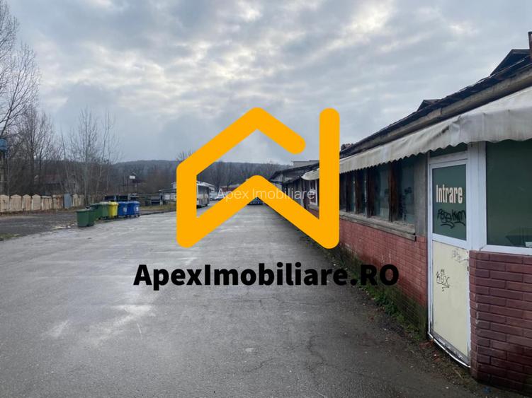 Hale Industriale de Vânzare Baicoi – 1100 mp + 800 mp, teren 5500 mp - 9