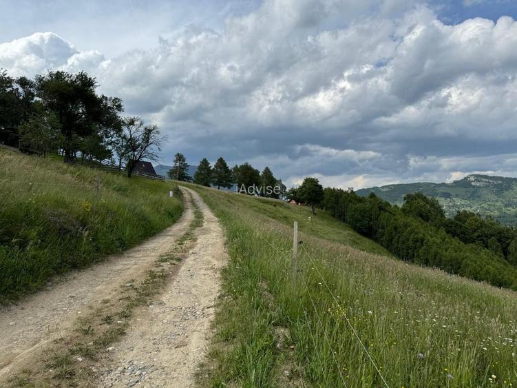 Teren inconjurat de natura de vanzare in Pestera - 6