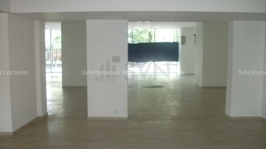 REC0001741 Spatiu Comercial Piata Victoriei - Titulescu - 14