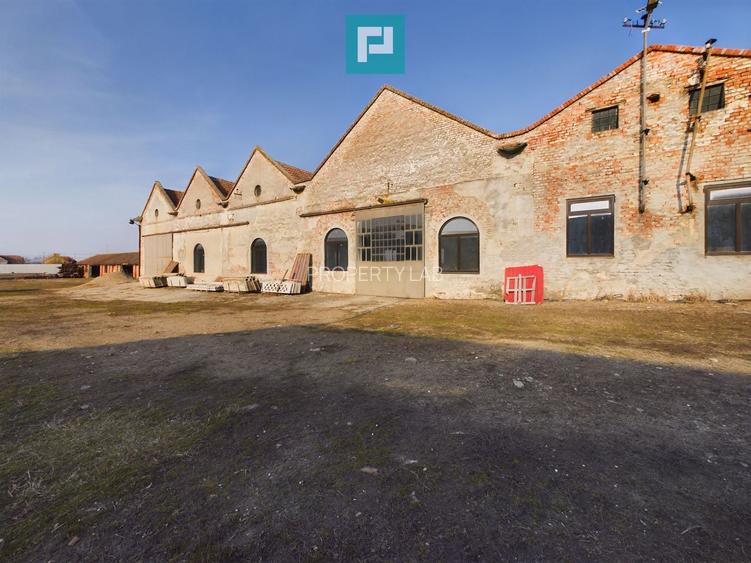 Teren și hale pe calea Aradului în Periam - 12