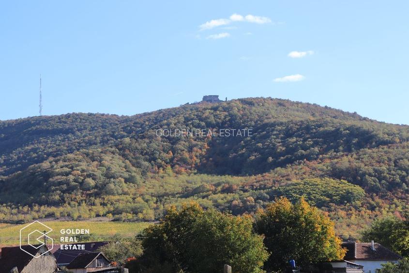 Casa in centrul localitatii Galsa -  COMISION ZERO - 12