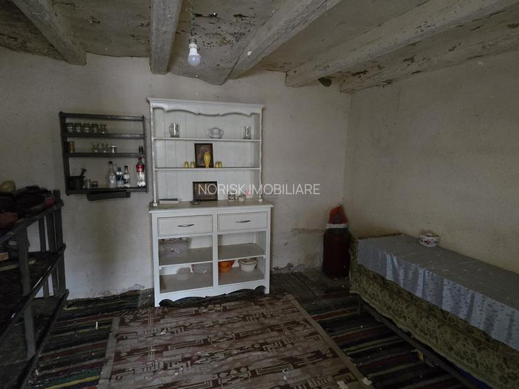 Casa + teren 4467 mp, Hotarele, Giurgiu - 18