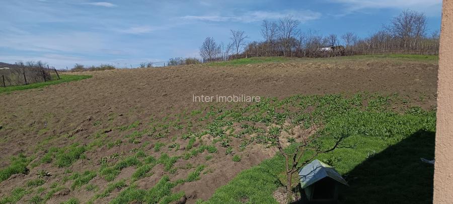 5 CAMERE  -333MP - CU 6381 TEREN  ,ARONEANU -LANGA PADURE , - 9