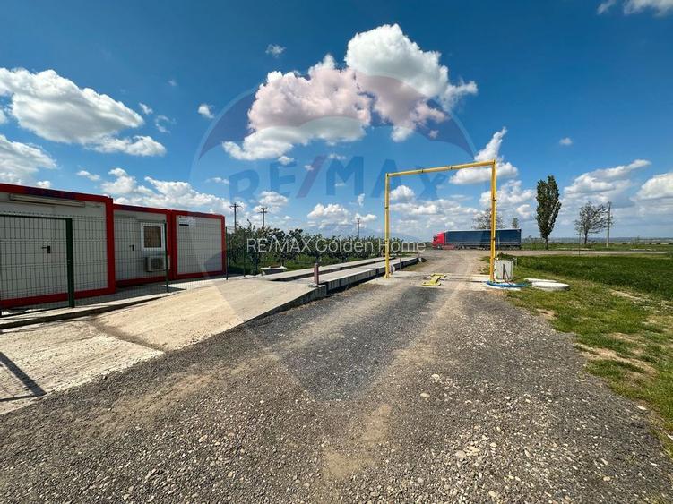 Ferma porcine la cheie - 13