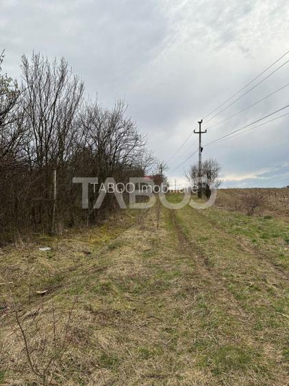 Teren intravilan 791 mp utilitati langa parcela front 13 m Cisnadie - 4