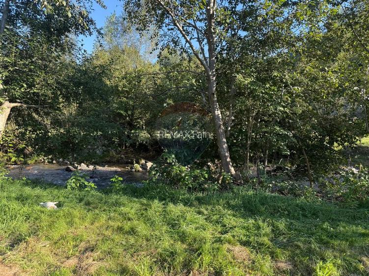 Casa de vacanta de vanzare pe Valea Lotrioarei - 8