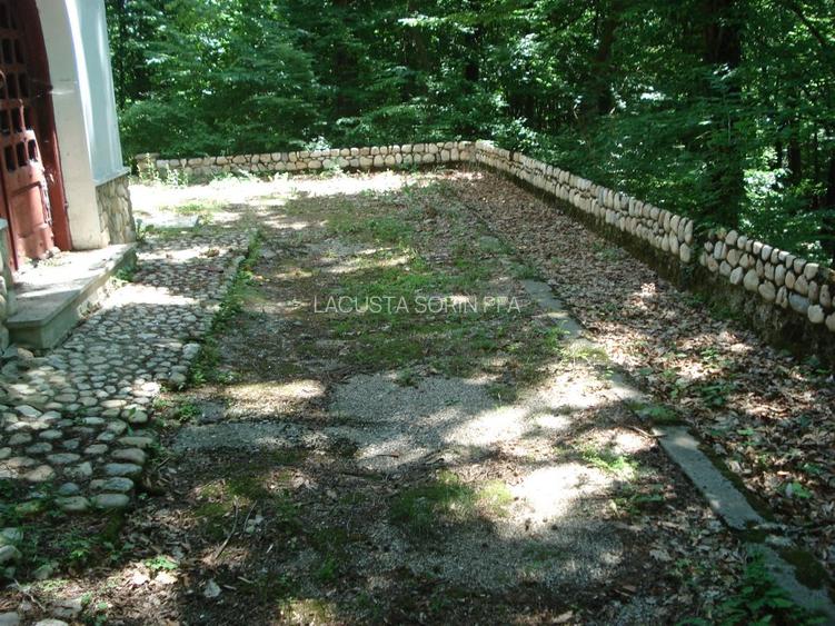 Conac istoric clasa B, 13 ha teren, valoare istorica - 18