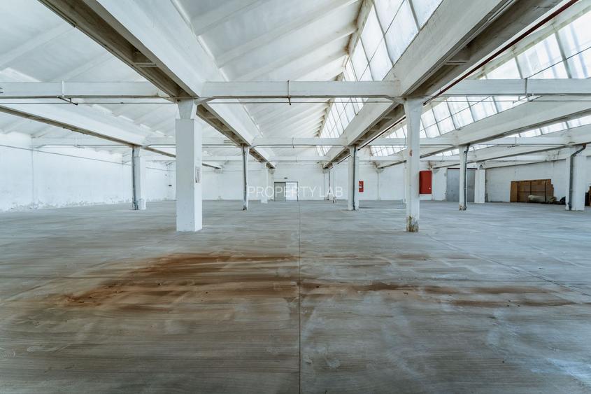 Hală de închiriat 500 mp, în Arad - 7