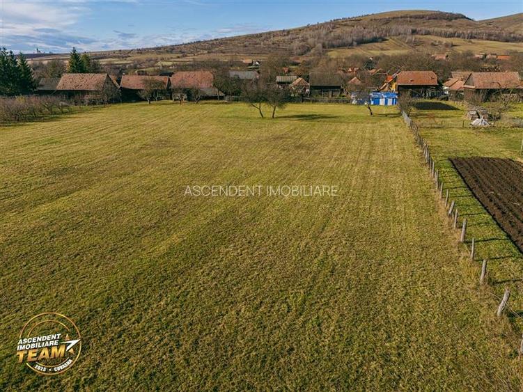 FILM! Casa si anexe, pe domeniu de 6.221mp,  livada pomi fructiferi, Lemnia, Cov - 24