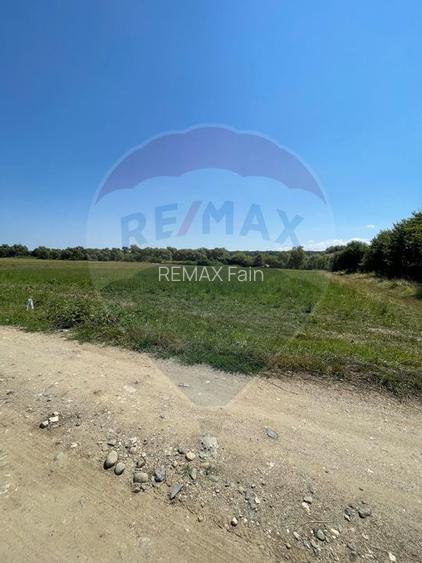 TEREN  INTRAVILAN  5000mp ORAS CISNADIE  STR. SELIMBARULUI - 14