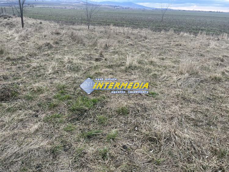 TEREN INTRAVILAN I 800 MP I IGHIU I LATIME 29 ML I IDEAL CASA SAU CABANA I - 4