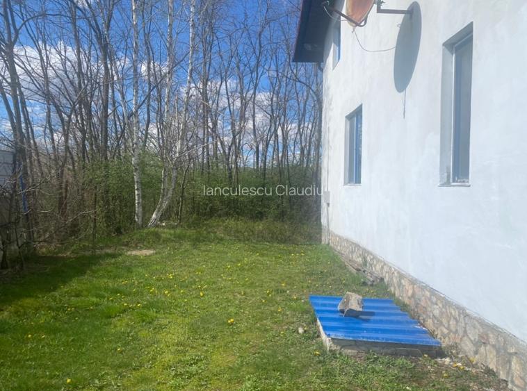 Casă de vacanță lac Surduc  - 10