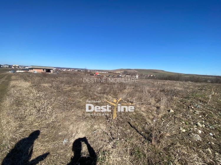 Loturi de Teren Fermelor Strada Plantelor  - 3