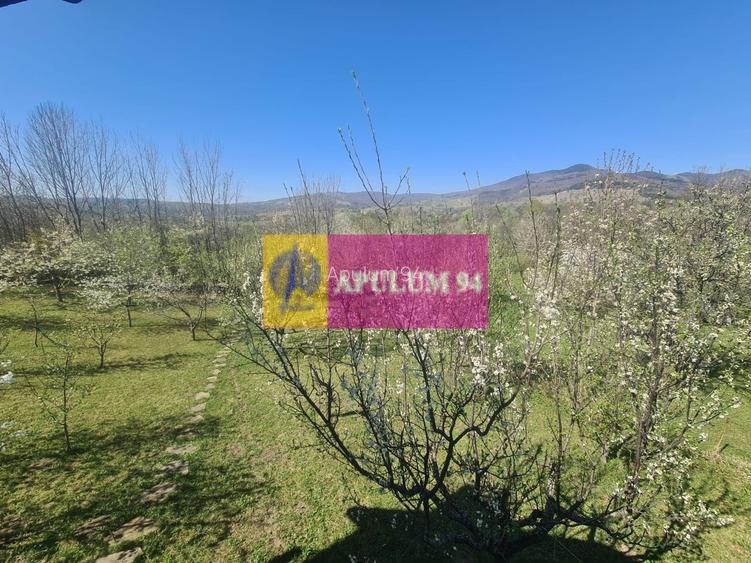 Vila de vanzare in Comarnic - 47