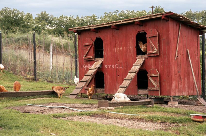 Visează, construiește, culege: Livada Paradisului – De Vânzare - 7