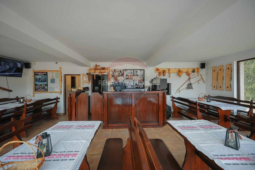 Oportunitate de investiție, Restaurantul Piatra Grăitoare,Vârtop,Bihor - 29