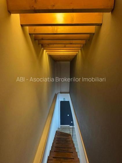 Spatiu  Stefan Cel Mare S P 1 supr 215 mp - 10