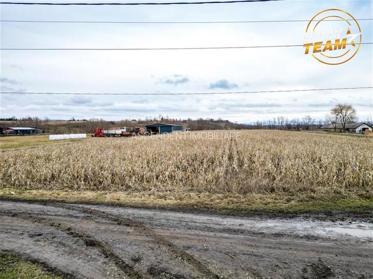 Film! Teren de 5.800 mp, Dobolii de Jos, Covasna - 2