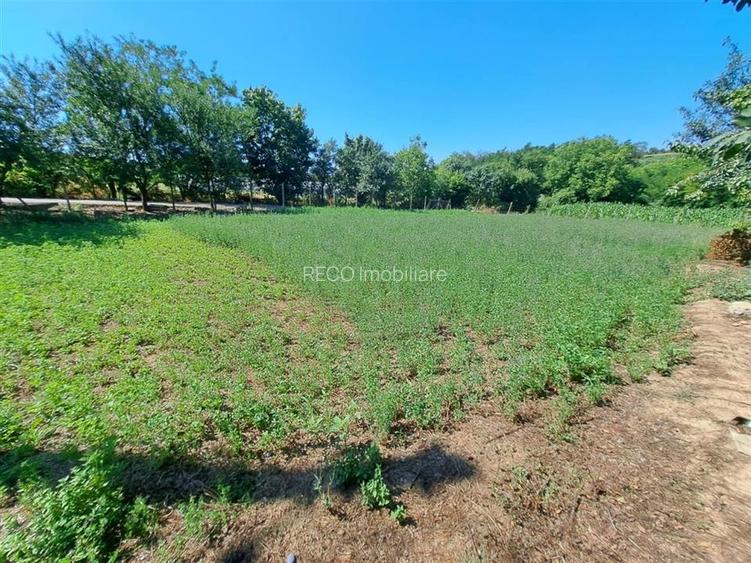 RECO casa dubla Cadea - 21