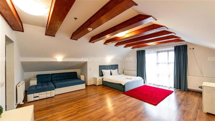 Domeniu turistic, zona pitoreasca, priveliste, aer curat, conditii speciale - 15