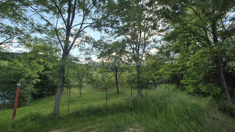 Teren intravilan 1201 mp – Curtea de Arges, Strada Haiducesti - 5