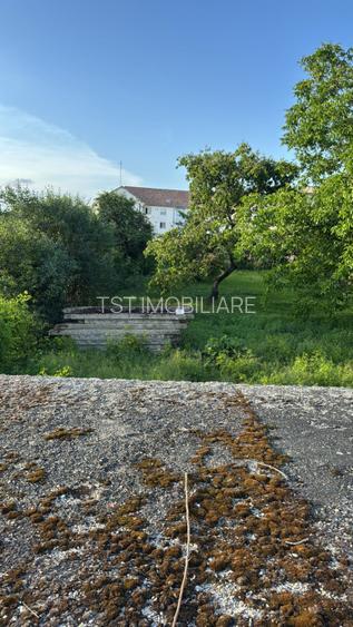 Teren intravilan  în Odoreu – 8,5 arii - 2