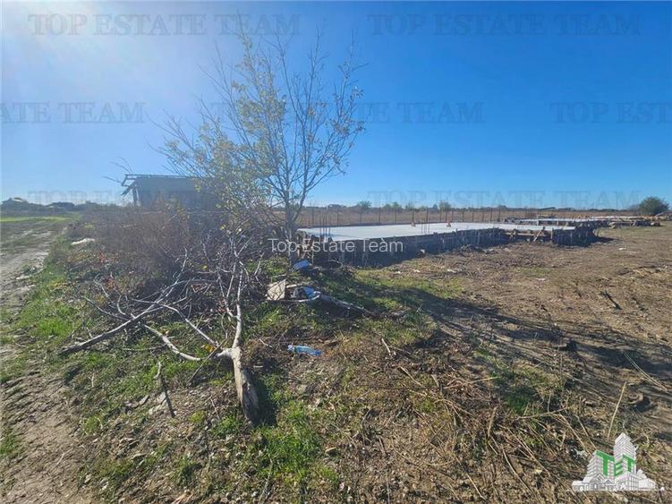 SUPER-PRET Teren 5000mp langa case in Sabareni - 5