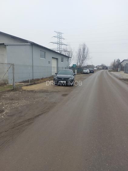 Clinceni - Olteni, Fortului, Stradal 5180 mp - 3