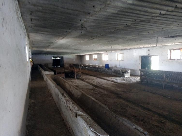 Ferma cu hale 3000 mp si teren 12000 mp, 30 km de Constanta - 6