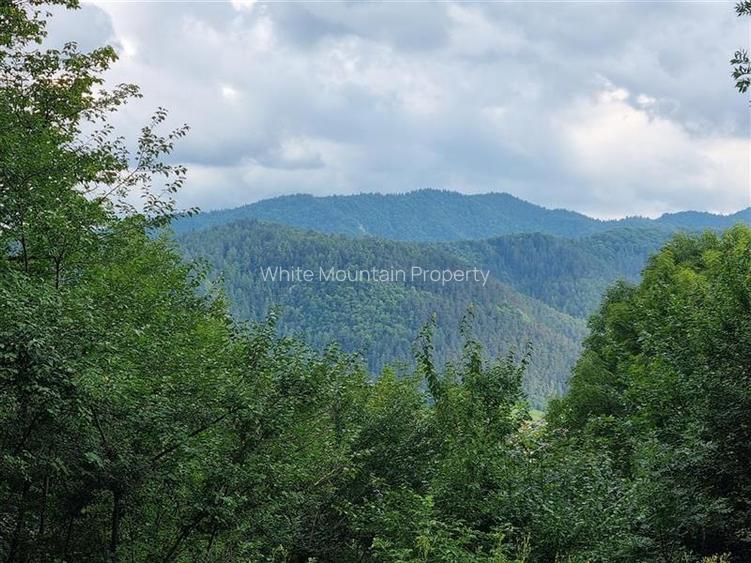 De vanzare: Apartament 3 camere premium Belveo - 20