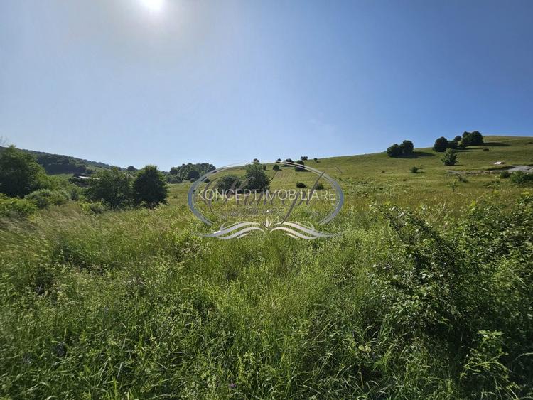 Teren construibil in proximitatea pensiunii ”La Mesteceni” - 6