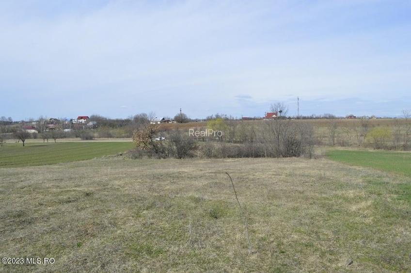 Suseni - Teren intravilan rezidential, suprafata 4000 mp! - 12