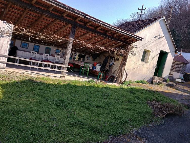 Casa si teren in Tisa ,jud.Hunedoara - 8
