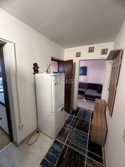 Apartament cu 2 camere, PET FRIENDLY, zona Alexandru Cel Bun - 4