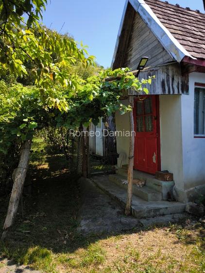 Teren cu cabana de vanzare - 4