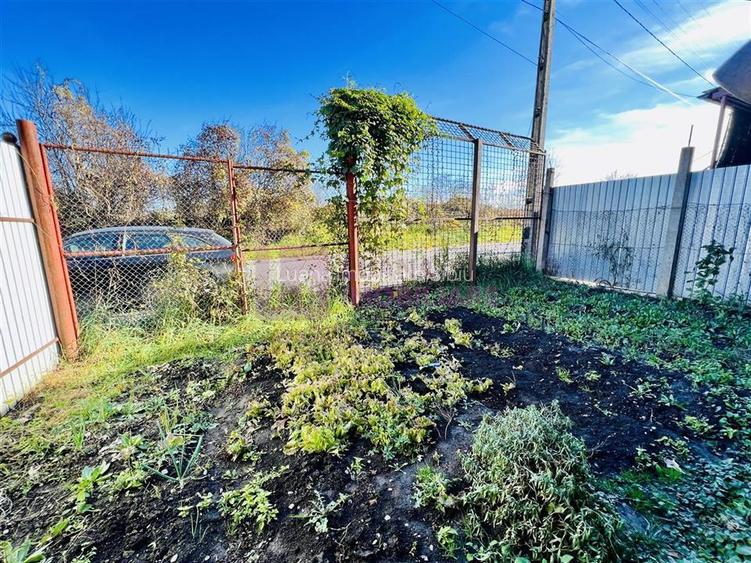 Casa individuala de vanzare  - Turnisor - teren 292 mp - 5