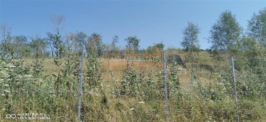 De vanzare casa si grajd +3000m² teren livada in Sumurducu - Sanpaul - 11